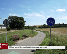 Město vysadilo podél cyklostezek novou zeleň