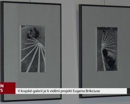 V krajské galerii je k vidění projekt Eugena Brikciuse