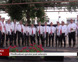 Předhodové zpívání pod zeleným