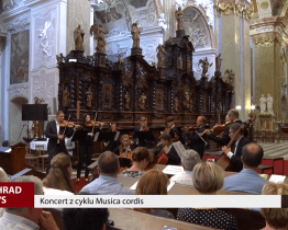 Koncert z cyklu Musica cordis
