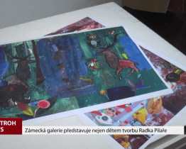 Zámecká galerie představuje nejen dětem tvorbu Radka Pilaře