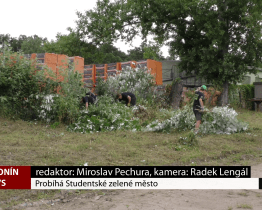 Probíhá Studentské zelené město