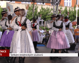 Setkání strážnických souborů