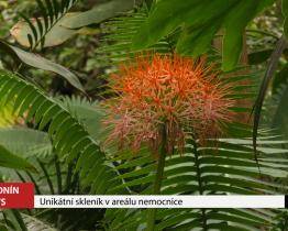 Unikátní skleník v areálu nemocnice 