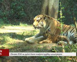 Zoo Zlín hlásí nové přírůstky 