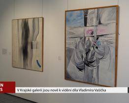 V krajské galerii jsou k vidění výtvory Vladimíra Vašíčka