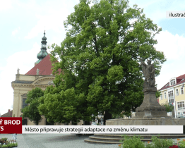Město připravuje strategii adaptace na změnu klimatu