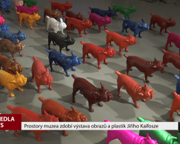 Prostory muzea zdobí výstava obrazů a plastik Jiřího Kaifosze