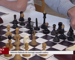 Velmistr Babula do turnaje nasadil rodinu