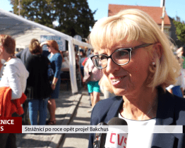 Strážnicí po roce opět projel Bakchus