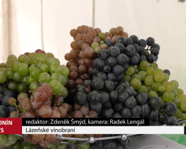 Lázeňské vinobraní v Hodoníně