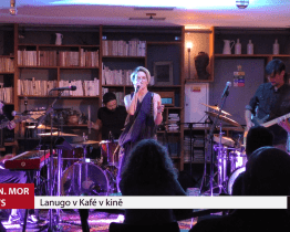 Lanugo v Kafé v kině