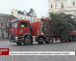 Letošní vánoční strom už doputoval na Masarykovo náměstí