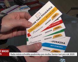 Rada města schválila podmínky pro službu Senior taxi pro rok 2020