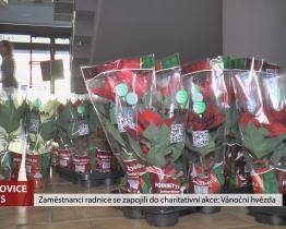 Zaměstnanci radnice se zapojili do charitativní akce
