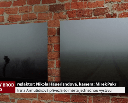 Irena Armutidisová přivezla do Brodu jedinečnou výstavu