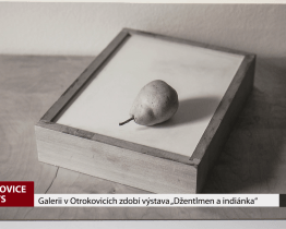 Galerii v Otrokovicích zdobí výstava "Džentlmen a indiánka"