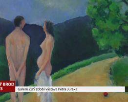Galerii ZUŠ zdobí výstava Petra Juráka