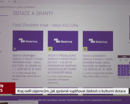 Kraj radil zájemcům, jak správně vyplňovat žádosti o kulturní dotace