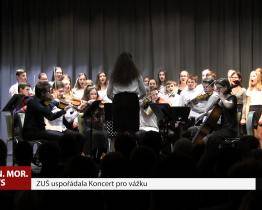 ZUŠ uspořádala Koncert pro vážku