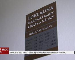Ztracené věci musí nálezce podle zákona odevzdat na radnici