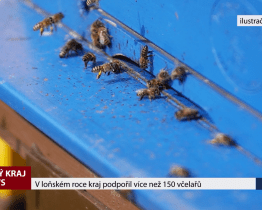 V loňském roce kraj podpořil více než 150 včelařů
