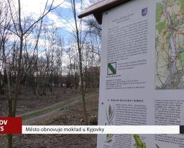 Město obnovuje mokřad u Kyjovky