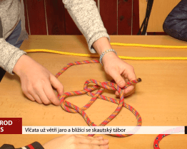 Vlčata už větří jaro a blížící se skautský tábor