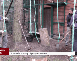 V zoo odstartovaly přípravy na sezonu
