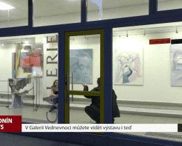 V Galerii Vednevnoci můžete vidět výstavu i teď