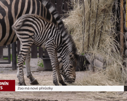 Zoo má nové přírůstky