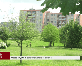 Město chystá II. etapu regenerace zeleně