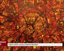 Galerii zdobí výstava Zdeňka Maráška