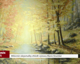 Milovníci olejomalby zhlédli výstavu Marie Veselské