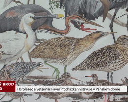 Horolezec a veterinář Pavel Procházka vystavuje v Panském dvoře