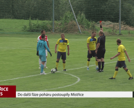 Do další fáze poháru postoupily Mistřice