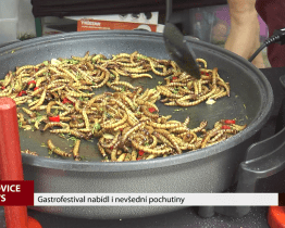 Gastrofestival nabídl i nevšední pochutiny