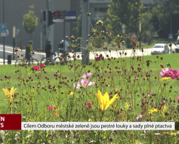 Cílem Odboru městské zeleně jsou pestré louky a sady plné ptactva