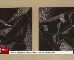 Umělecká výstava nabízí díla z Moravy i Slovenska