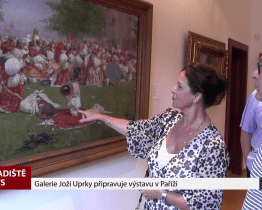 Galerie Joži Úprky připravuje výstavu v Paříži