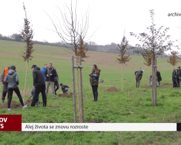 Alej života se znovu rozroste