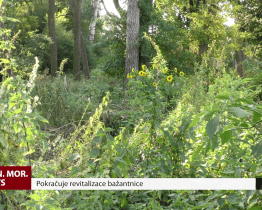Pokračuje revitalizace bažantnice
