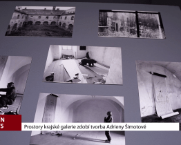 Prostory krajské galerie zdobí tvorba Adrieny Šimotové