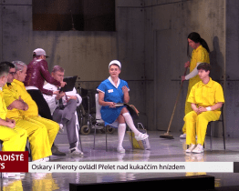 Oskary i Pieroty ovládl Přelet nad kukaččím hnízdem