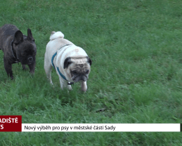 Nový výběh pro psy v městské části Sady