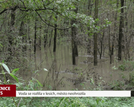 Voda se rozlila v lesích, město neohrozila