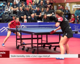 Stolní tenistky čeká v Linci Liga mistryň