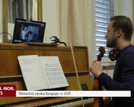 Distanční výuka funguje i v ZUŠ
