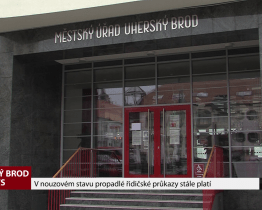 V nouzovém stavu propadlé řidičské průkazy stále platí