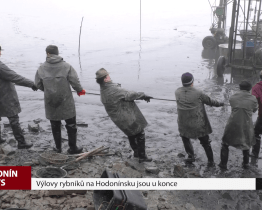 Výlovy rybníků na Hodonínsku jsou u konce